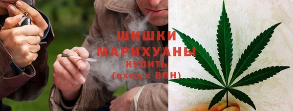 прущие грибы Верхнеуральск