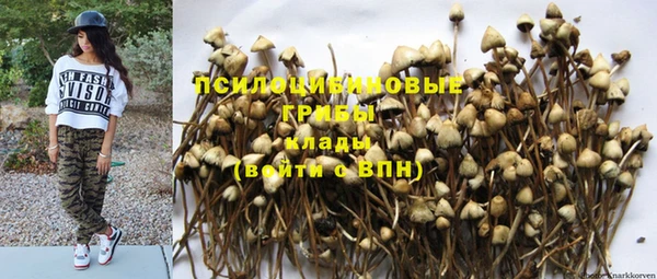 прущие грибы Верхнеуральск