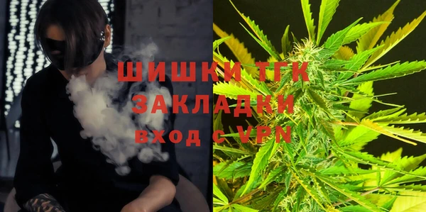 прущие грибы Верхнеуральск
