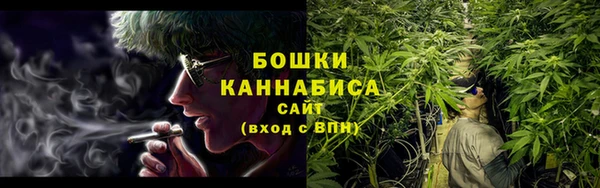 прущие грибы Верхнеуральск