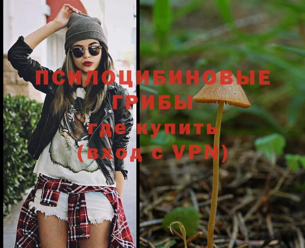 прущие грибы Верхнеуральск