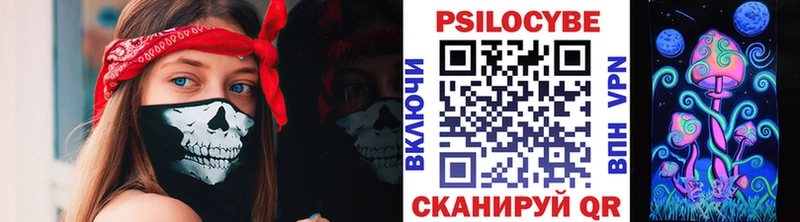 Купить  Красный Холм  Галлюциногенные грибы Psilocybe 